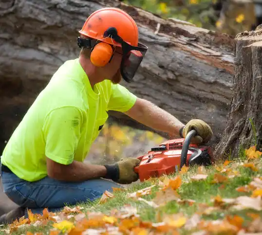 tree services Wood Lake